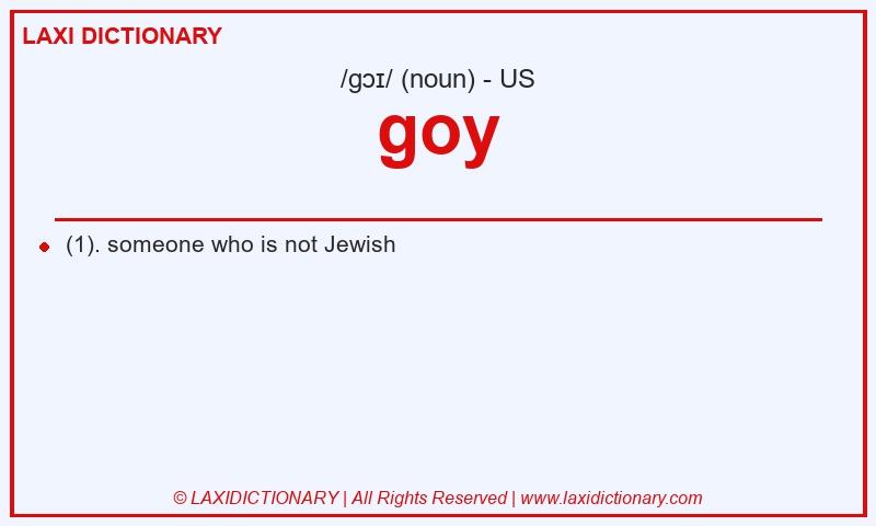 Definition goy in American English