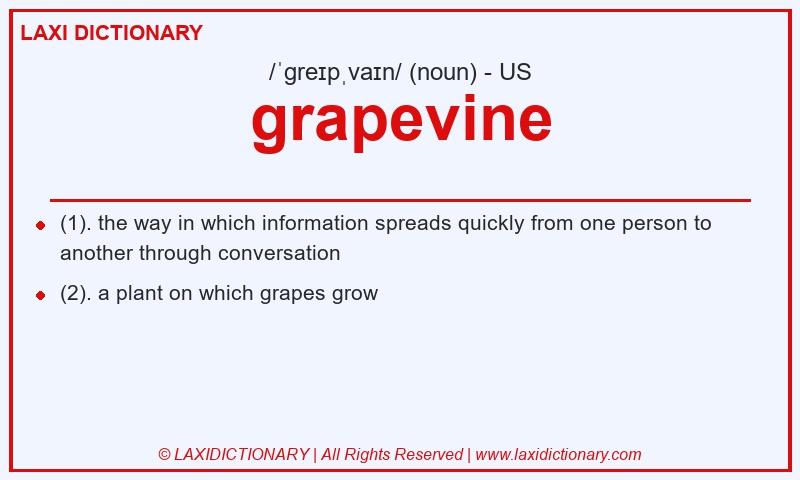 Definition grapevine in American English