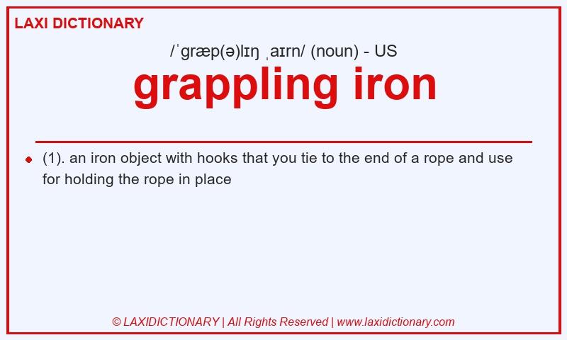 Definition grappling iron in American English
