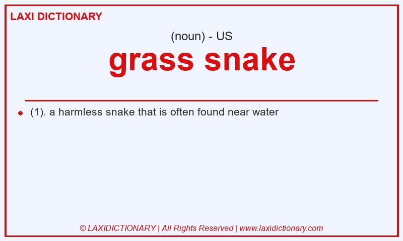 Definition grass snake in American English