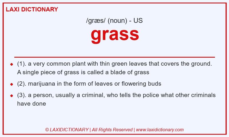 Definition grass in American English