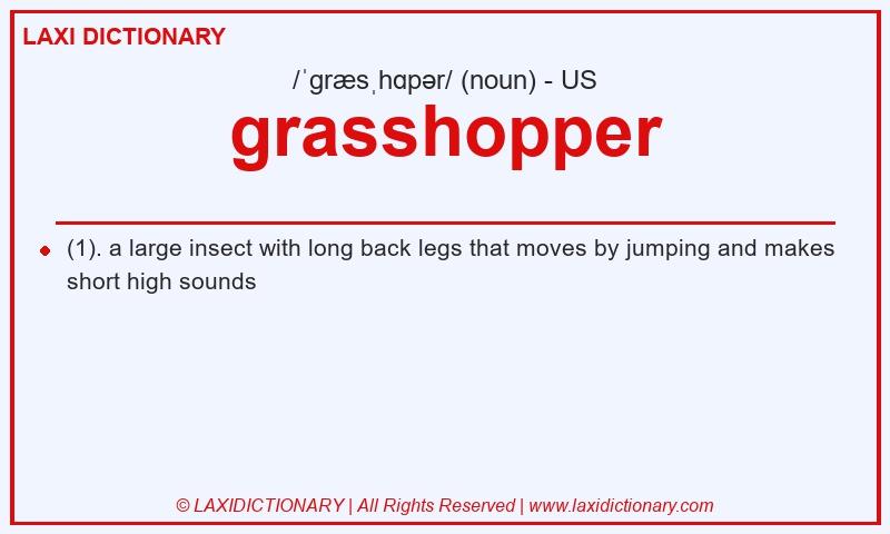 Definition grasshopper in American English
