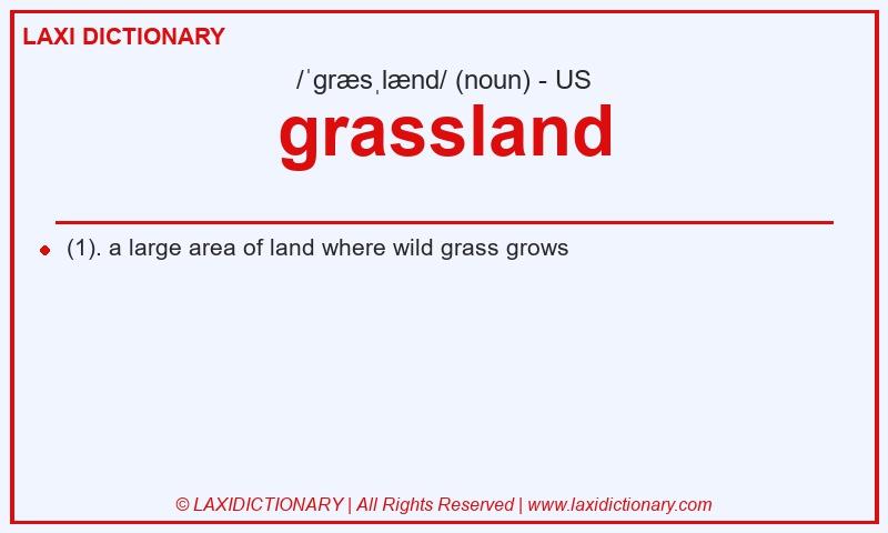 Definition grassland in American English