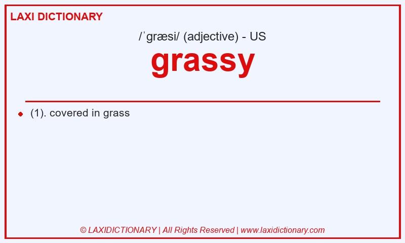 Definition grassy in American English