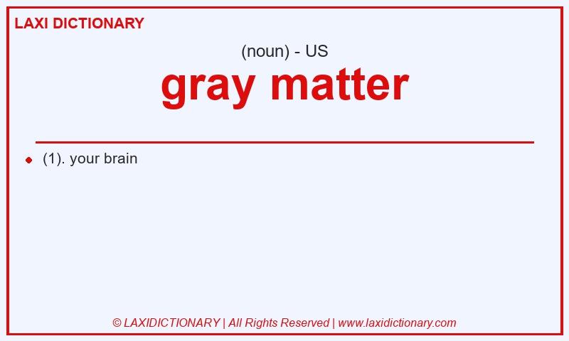 Definition gray matter in American English