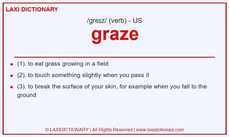 Definition graze in American English