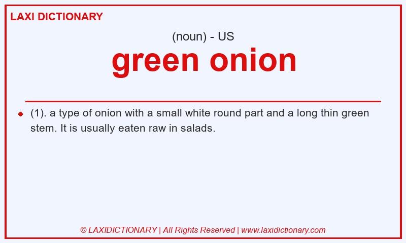 Definition green onion in American English
