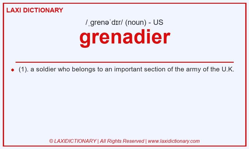 Definition grenadier in American English