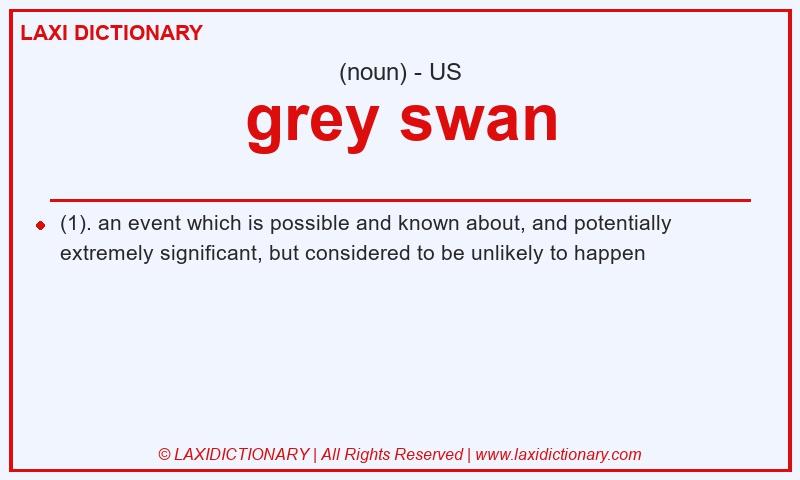 Definition grey swan in American English