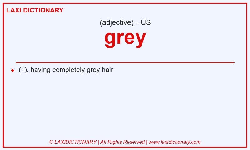 Definition grey in American English