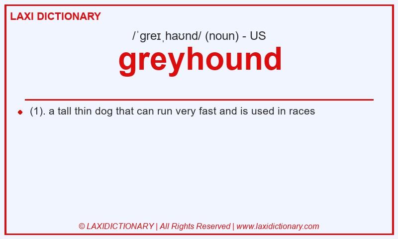Definition greyhound in American English