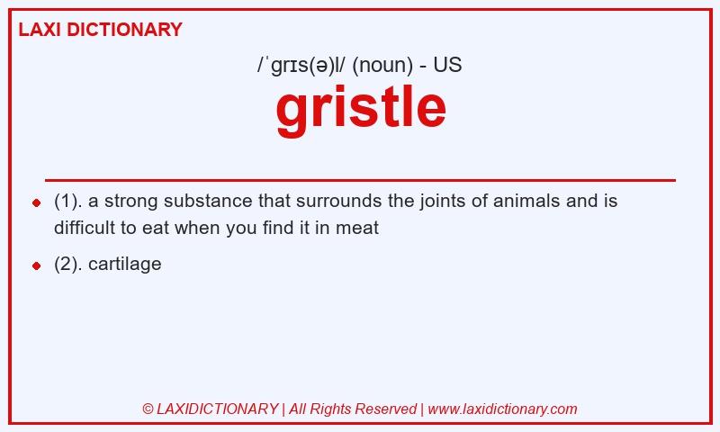 Definition gristle in American English