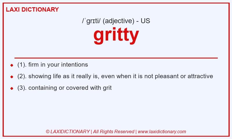 Definition gritty in American English