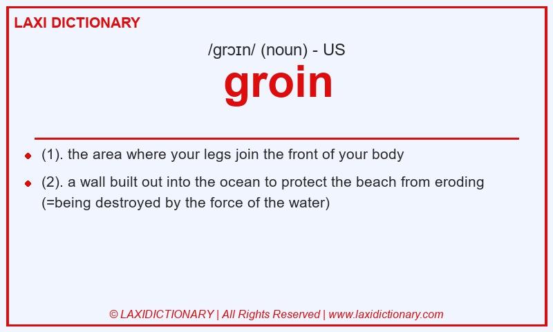 Definition groin in American English