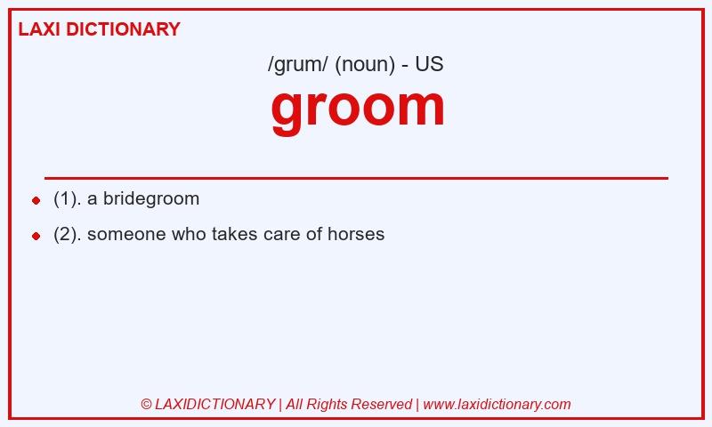 Definition groom in American English