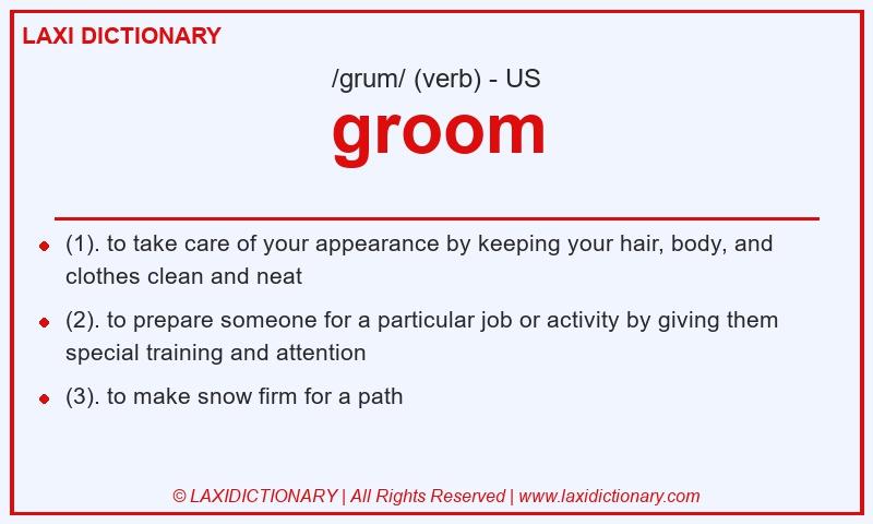 Definition groom in American English