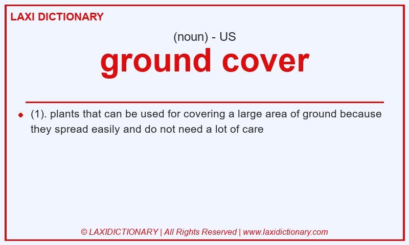 Definition ground cover in American English