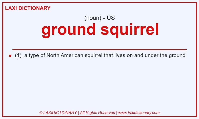 Definition ground squirrel in American English