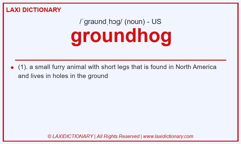 Definition groundhog in American English