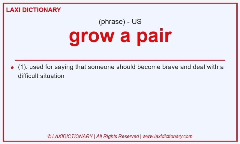 Definition grow a pair in American English