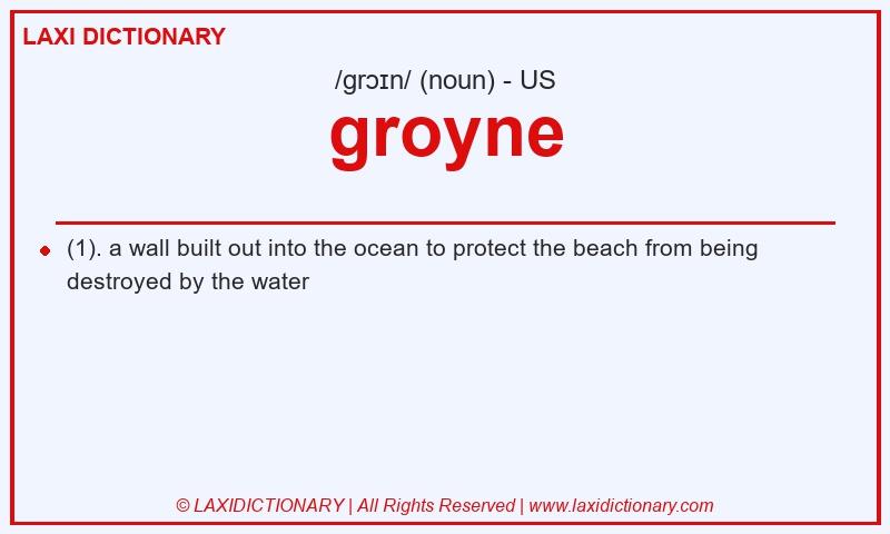 Definition groyne in American English