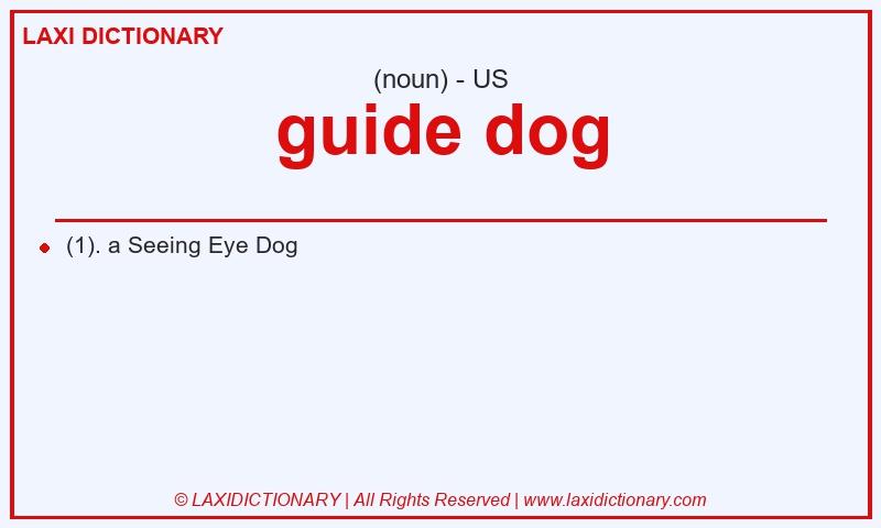 Definition guide dog in American English