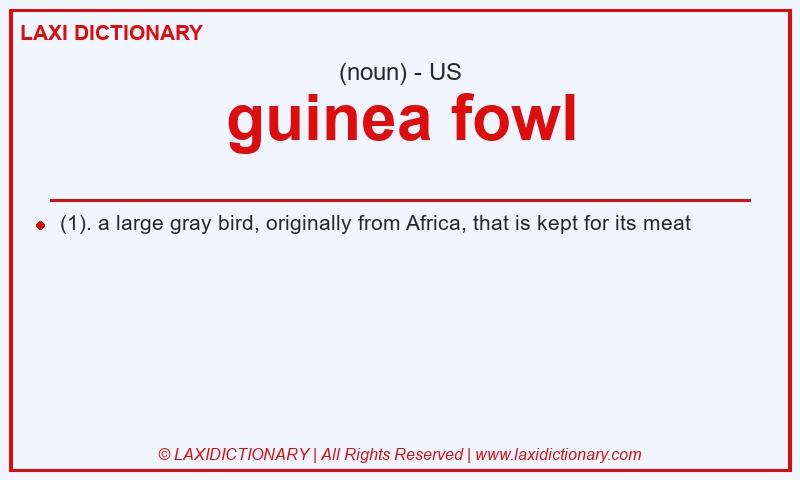 Definition guinea fowl in American English