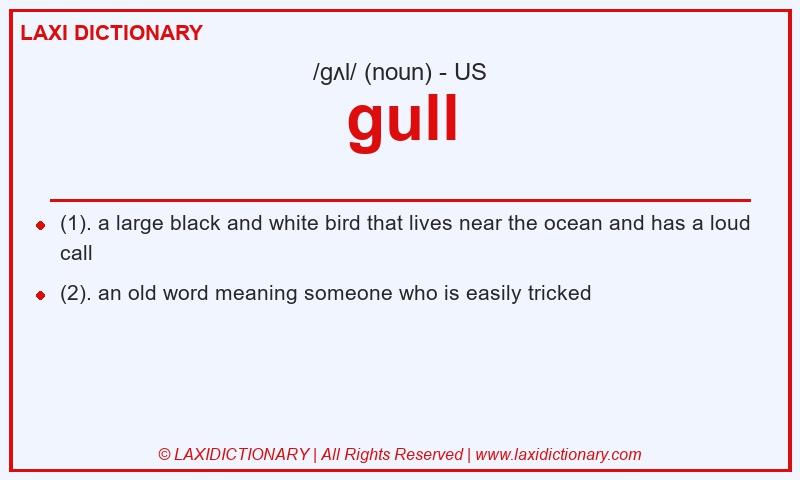 Definition gull in American English