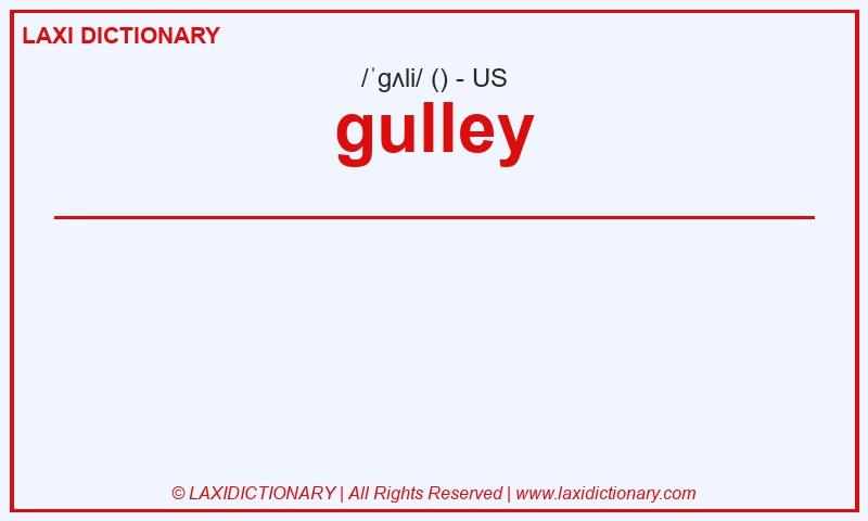 Definition gulley in American English