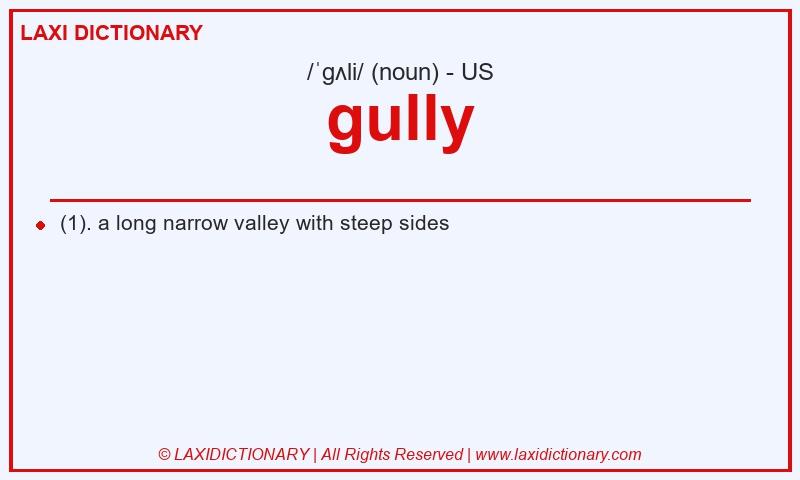 Definition gully in American English