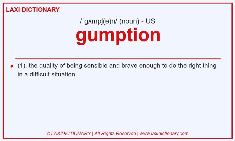 Definition gumption in American English