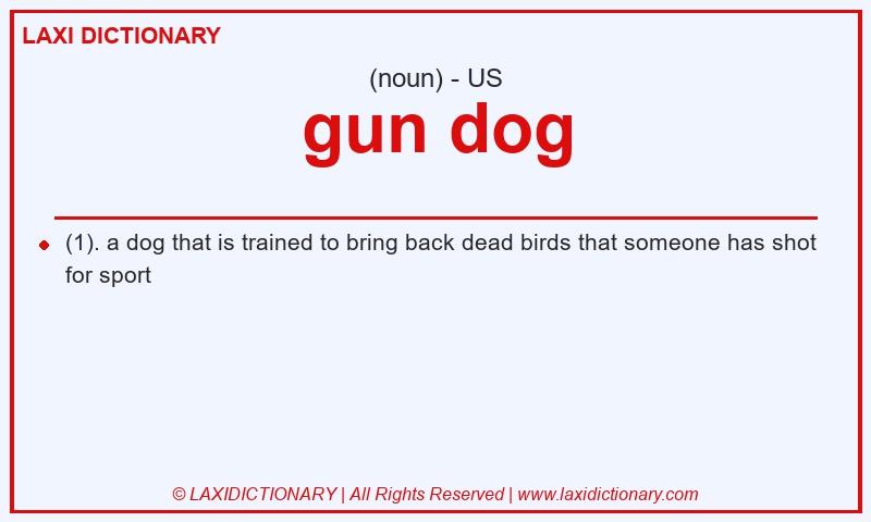 Definition gun dog in American English