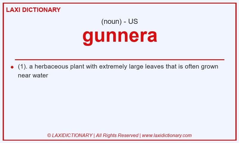 Definition gunnera in American English