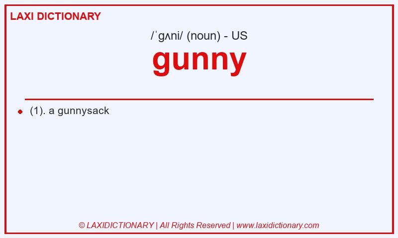 Definition gunny in American English