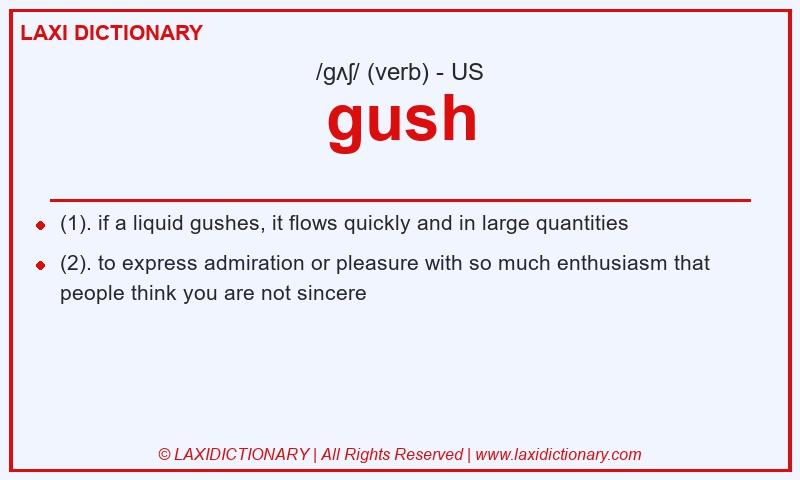 Definition gush in American English