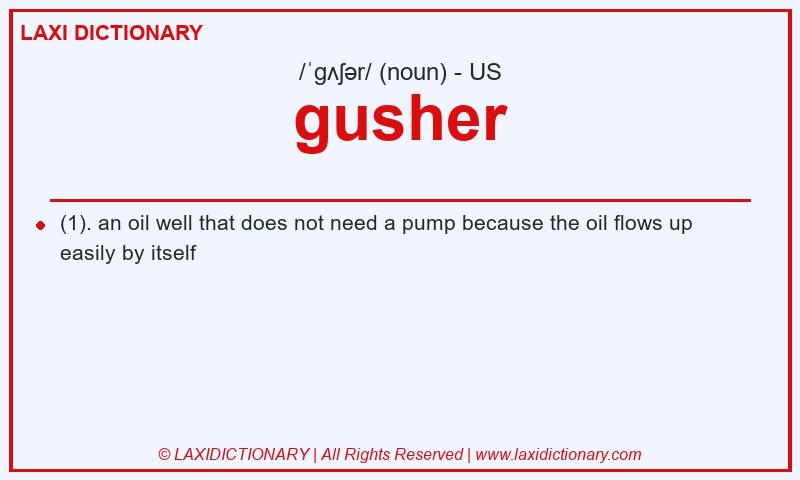 Definition gusher in American English