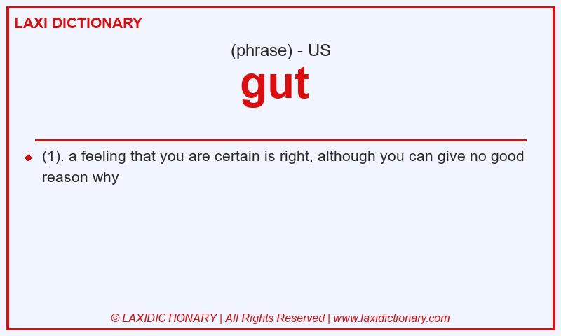 Definition gut  in American English