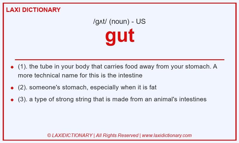 Definition gut in American English