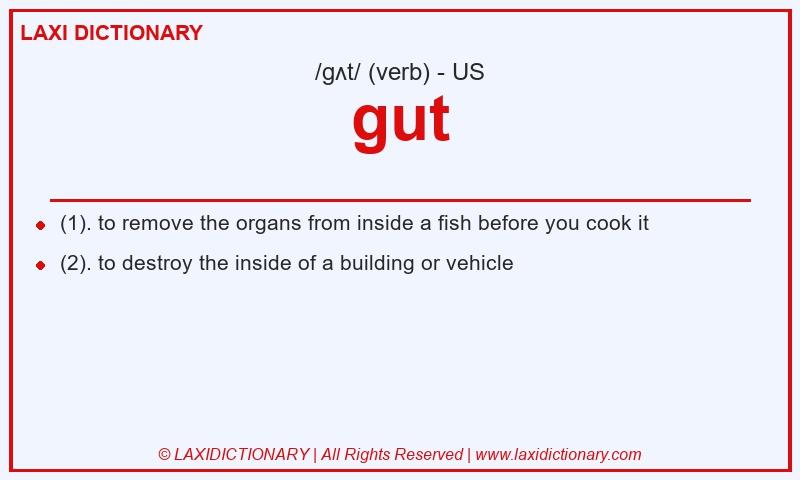 Definition gut in American English