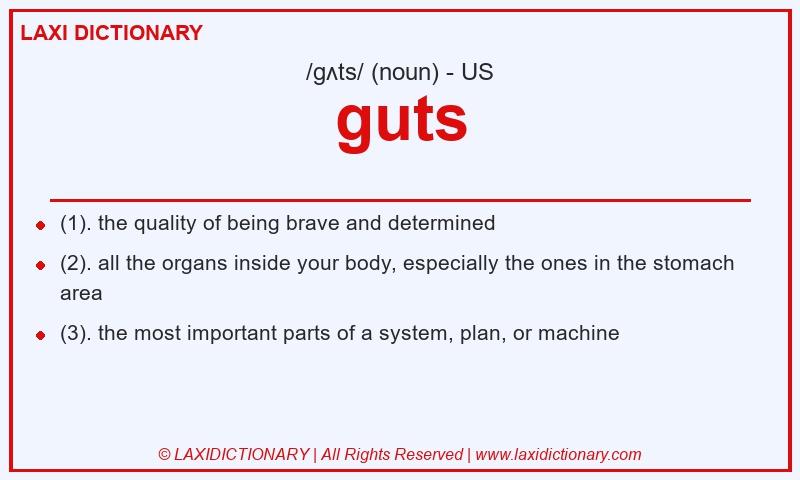 Definition guts in American English