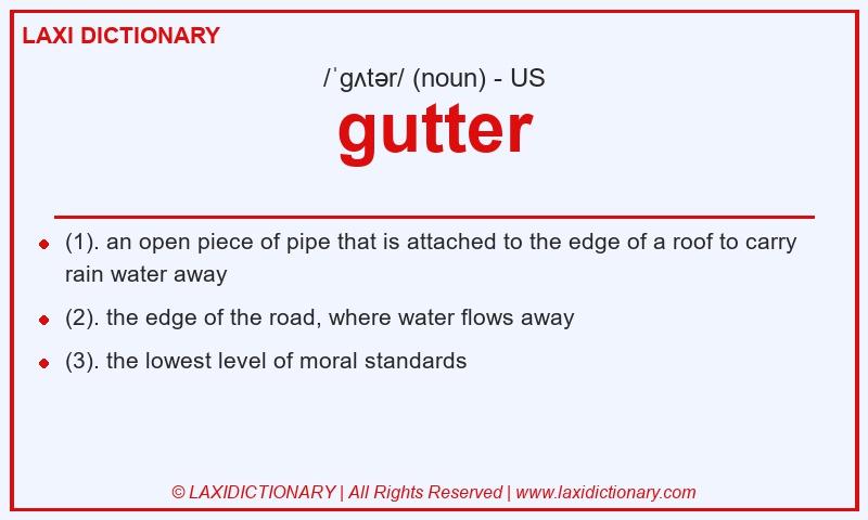 Definition gutter in American English