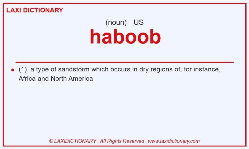 Definition haboob in American English