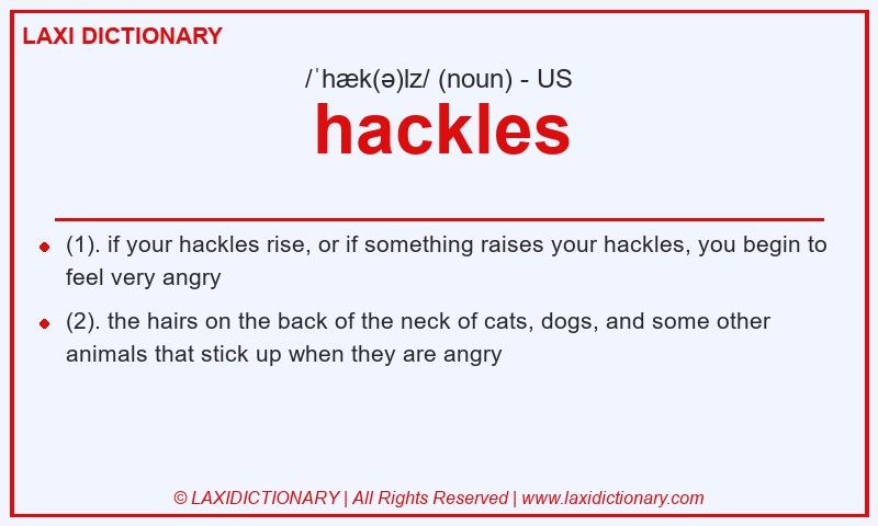 Definition hackles in American English