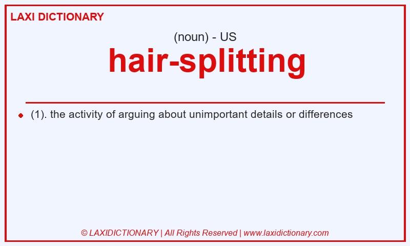 Definition hair-splitting in American English