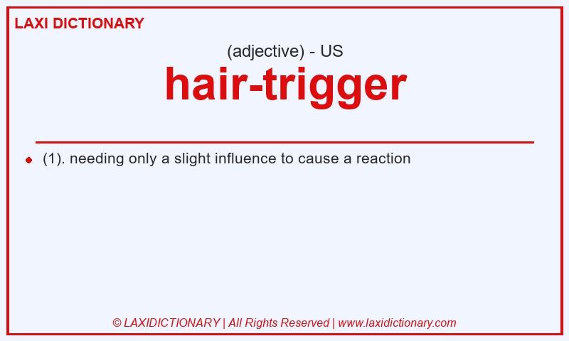 Definition hair-trigger in American English