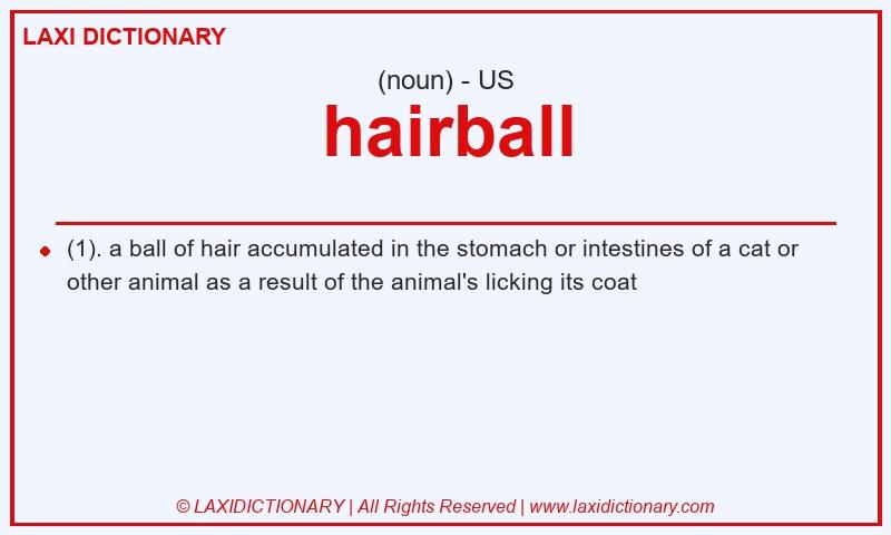 Definition hairball in American English