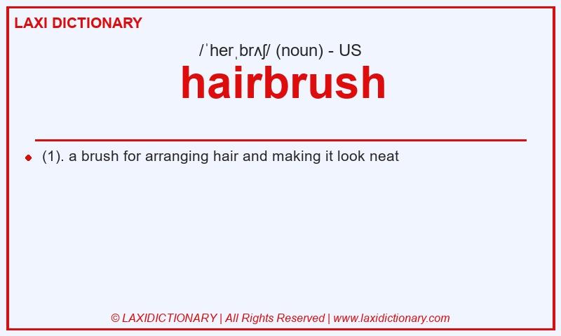 Definition hairbrush in American English