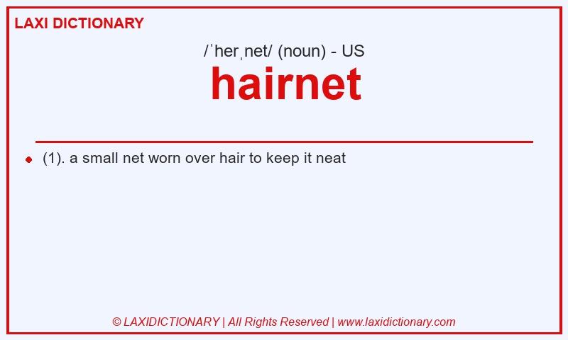 Definition hairnet in American English