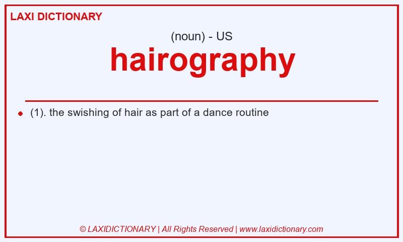 Definition hairography in American English