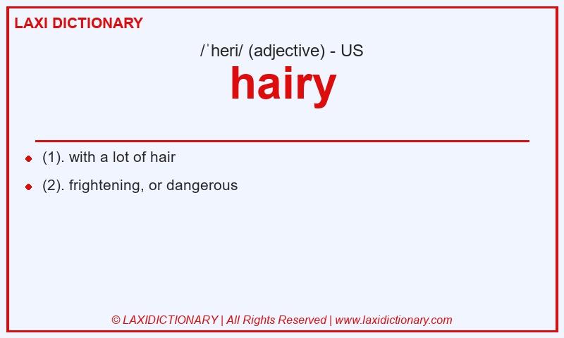Definition hairy in American English